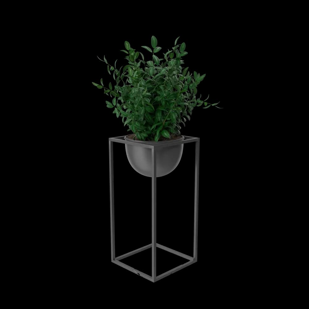 House Showpiece Plant — home & garden in fair condition (photo 2 of 3)