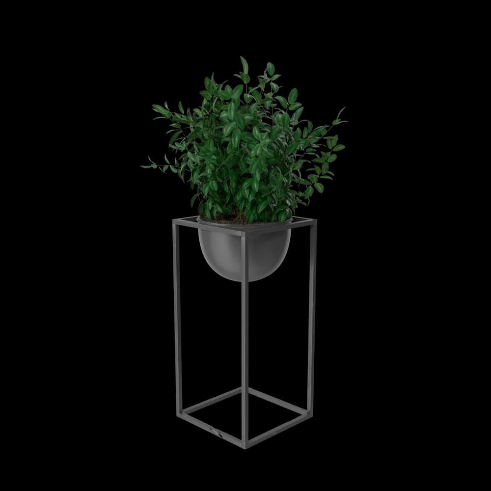 House Showpiece Plant — home & garden in fair condition (photo 3 of 3)