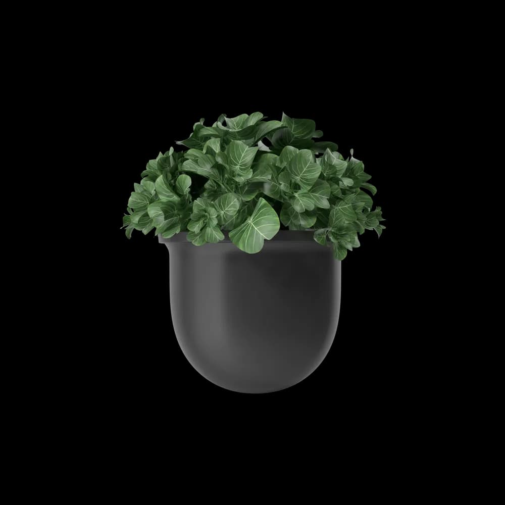Plant Pot — home & garden in new without tags (photo 2 of 4)