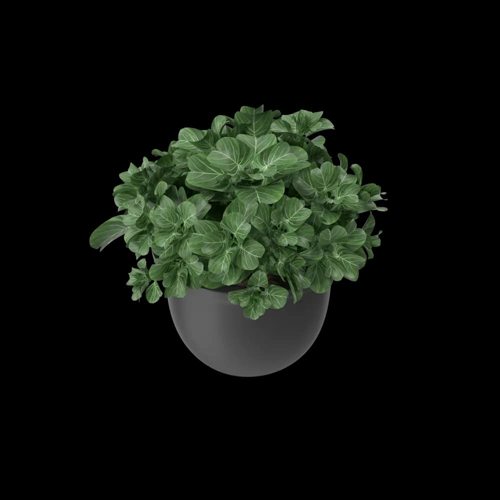 Plant Pot — home & garden in new without tags (photo 3 of 4)