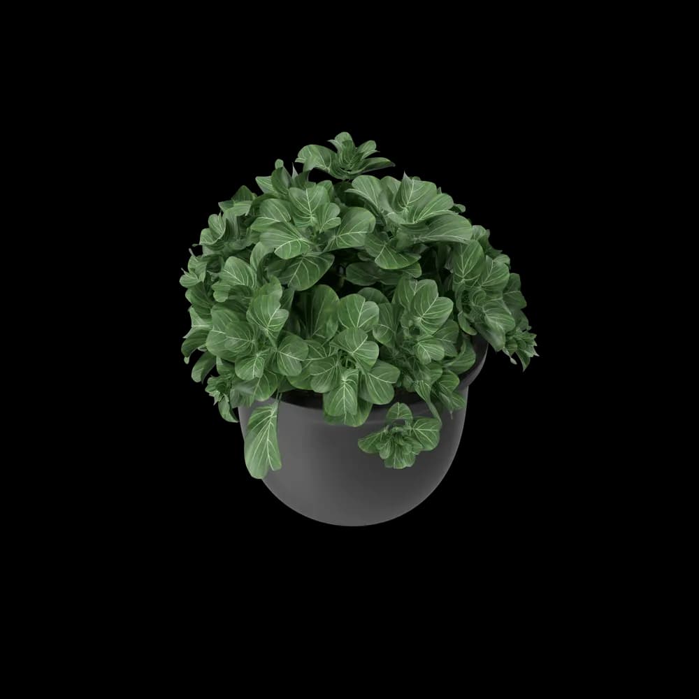 Plant Pot — home & garden in new without tags (photo 4 of 4)